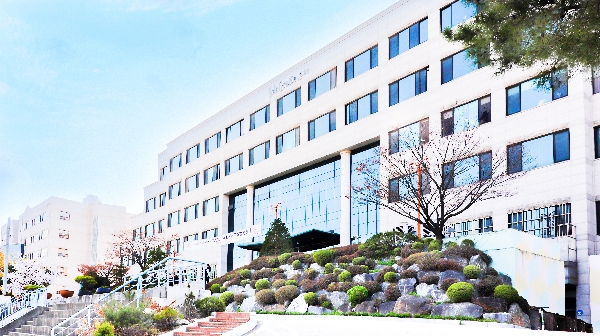 [OBS뉴스] [단독]  아들 학예회에 가줘요 …총장 부인 갑질 논란 대표이미지